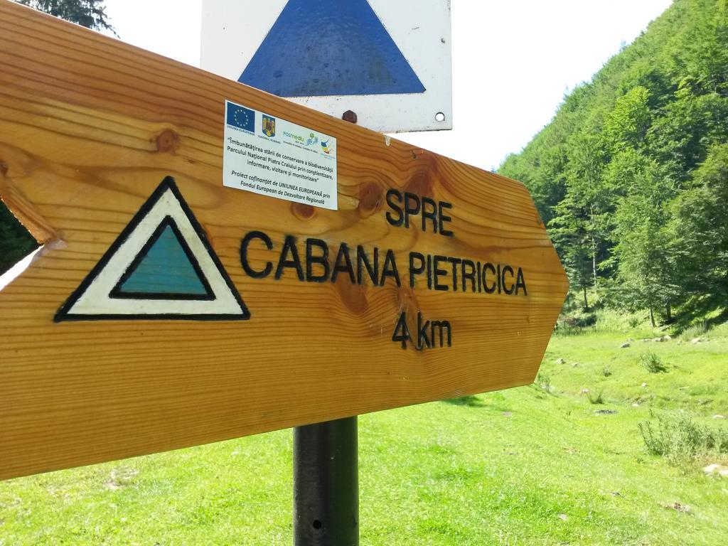 Cabana Pietricica ดิมโบวิชิอัวรา ภายนอก รูปภาพ